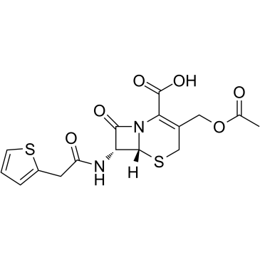 Cefalotin 153-61-7